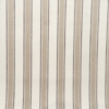 Textura Topo
